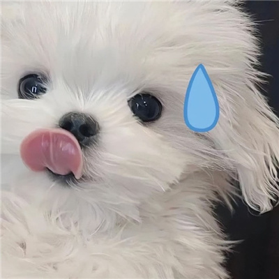 一组巨好看的情侣头像🌟精选罕见必存微信情头