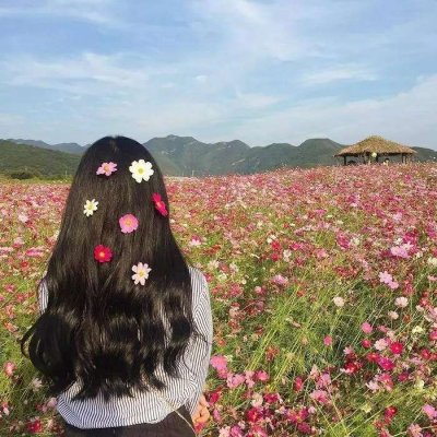 独一无二小清新女生背影头像🌿执着等待系列头像