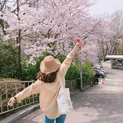 小清新女生海边孤单背影头像🌊一个人看海系列头像