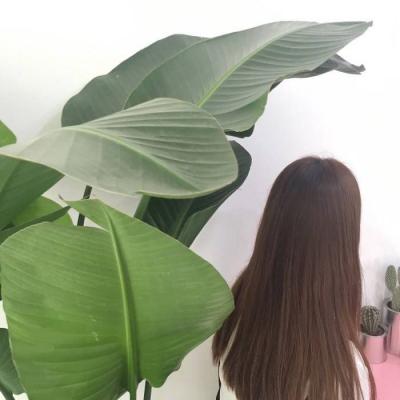 韩国热门女生微信背影头像🇰🇷首尔氛围感✨韩系ins风精选大全