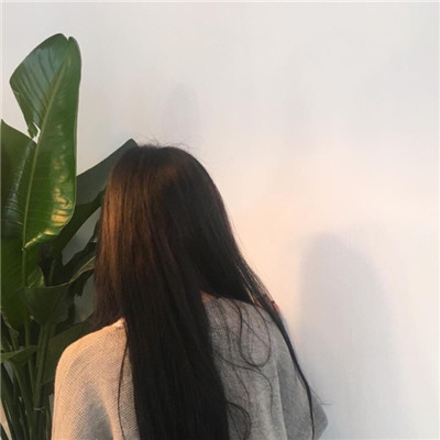 最新女生意境背影头像大全✨从治愈到破碎的美学之旅