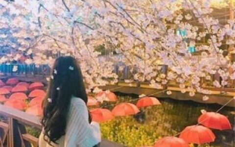 气质女生意境背影头像✨从优雅到破碎的美学之旅