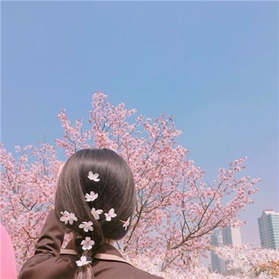 最新版女生小清新花海背影头像🌸春日限定系列✨治愈系繁花意境