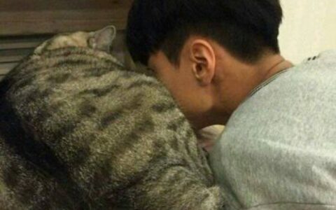 2025最新男生背影头像✨个性潮酷帅气✨氛围感男神合集