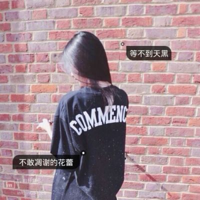 带字伤感女生背影头像✨个性签名设计