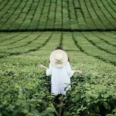 唯美意境头像女生背影✨孤独清冷氛围感✨性格古怪无人疼爱