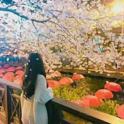 唯美意境头像女生背影✨孤独清冷氛围感✨性格古怪无人疼爱