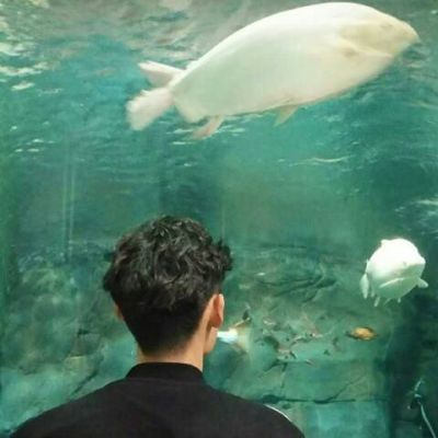 最新唯美情侣背影合集🎭笑对现实无奈的双人画卷