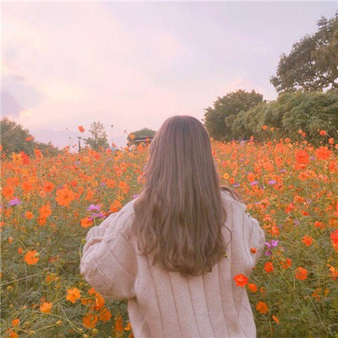 480x480快手女生背影头像📱「好坏都已听说」怀旧头像集
