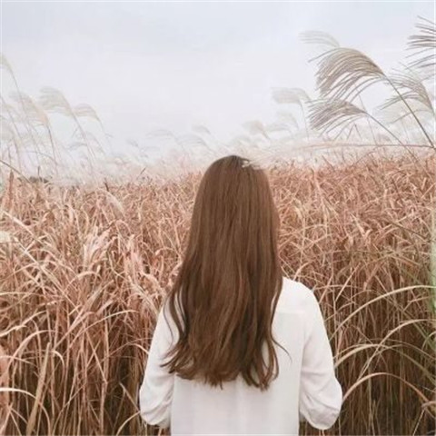 480x480快手女生背影头像📱「好坏都已听说」怀旧头像集