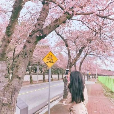 气质美女背影头像📸「喜欢无需理智」意境头像集