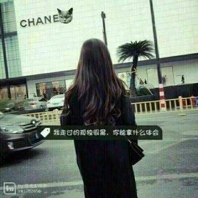 长发带字女生背影头像🌹「繁花落尽厮守一生」誓言头像