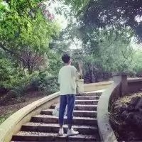 唯美清纯情侣背影头像🌿描绘樱花树下并肩执伞的校服剪影