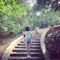 唯美清纯情侣背影头像🌿描绘樱花树下并肩执伞的校服剪影