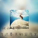 带字女生穿婚纱背影头像 💌将"曾经相遇总胜过"化作视觉诗行