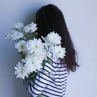 QQ女生背影长发飘飘💫专为气质女生打造的高清头像系列