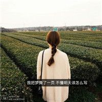 QQ女生背影头像带字的✍️主打简约气质风格