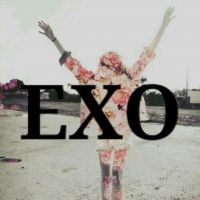 女生头像带字exo头像图片🌟全新推出带字EXO主题头像