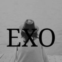 女生头像带字exo头像图片🌟全新推出带字EXO主题头像