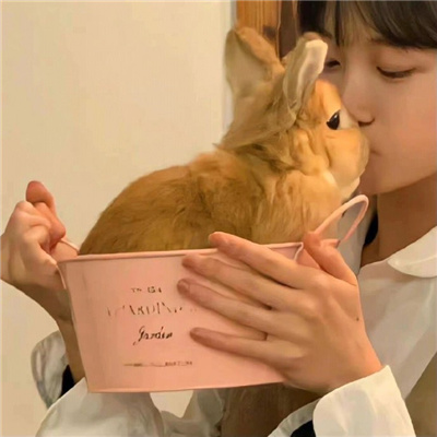 一看就知道有主了的情侣头像💖让人眼前一亮的优质情头合集