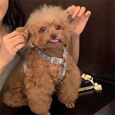 很精彩的美好情侣头像合集 十分幸福的优质情侣头像