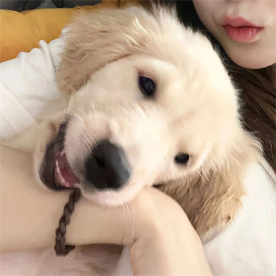 很精彩的美好情侣头像合集 十分幸福的优质情侣头像