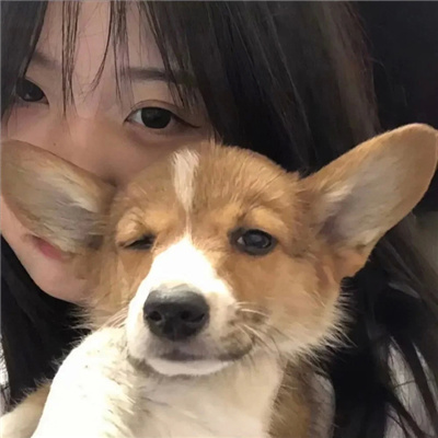 一组很温柔又好看的情侣头像 精致好看的情侣头像超级优质