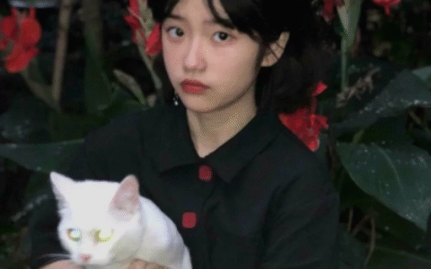 惊艳又好看的优质情侣头像 优雅又贵气的超好看精致情侣头像
