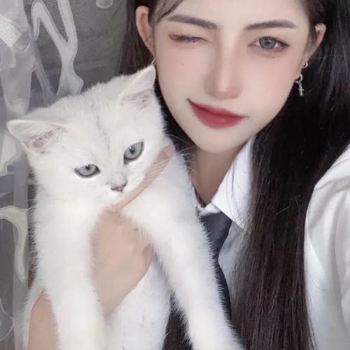简单又漂亮的情侣头像 很浪漫又很有氛围感的情侣头像合集