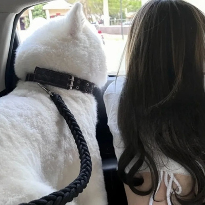 简单又很幸福的情侣头像 亲密并且很温馨的简笔画教程