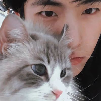 漂亮唯美的情侣头像合集 很温柔又很甜蜜的情侣头像