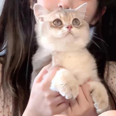 复古风高颜值的情头真人 2023绝美情侣头真人ins超好看