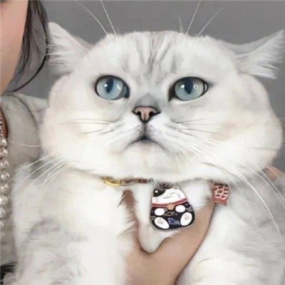 令人怦然心动高级的情头合集 真人气质型超心动的情头
