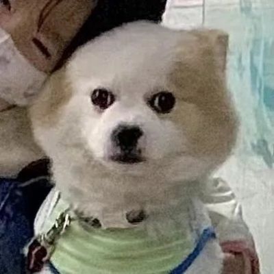 好看很宠溺的精致的情头 一人一半超级幸福的好看情头大全