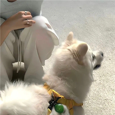 很有质感的又很幸福的情头 很高级很撩人的甜蜜的情头