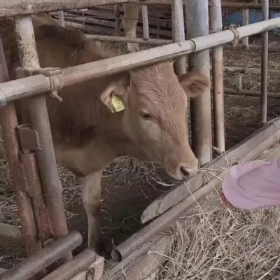 2023治愈系情头一左一右 很温暖的治愈系好看的情头