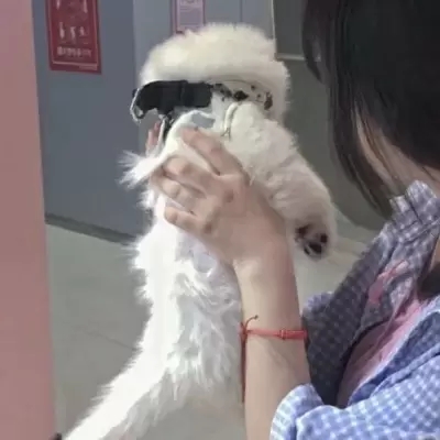 高级感满满的情侣头像最新 乖乖的又很酷的情侣高级感的头像
