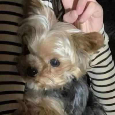 男朋友不是人系列情侣头像合集 对象不是人系列真人情头图片