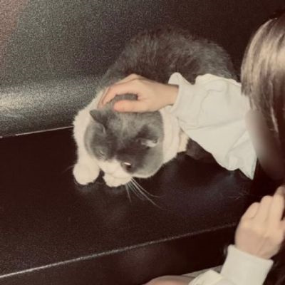 看起来超浪漫甜蜜的qq情头 明显唯美氛围感真人情侣头像图片
