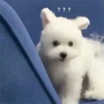 可爱的叹气伤心小动物头像图片 狗狗哭哭流泪emo微信头像图片高清
