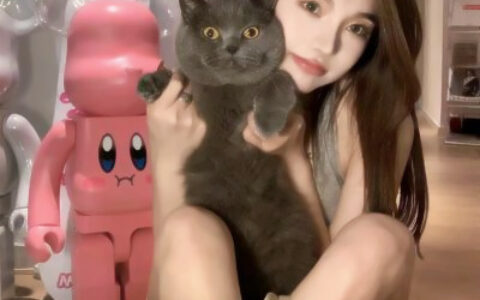 可爱小众的猫咪女生情侣头像 对象不是人猫咪系列情头图片