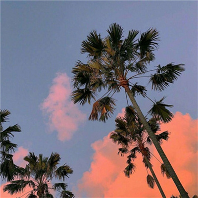 精致好看的微信背景图头像合集 精选很治愈心灵的大自然风景图片