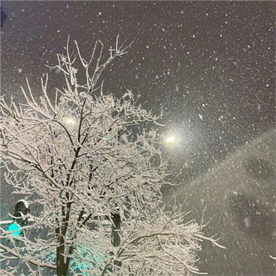 超有意境爆火下雪风景头像图片 抖音冬天下雪ins背景图片素材头像