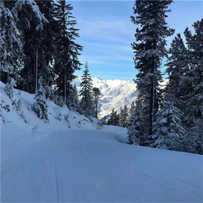 超有意境爆火下雪风景头像图片 抖音冬天下雪ins背景图片素材头像
