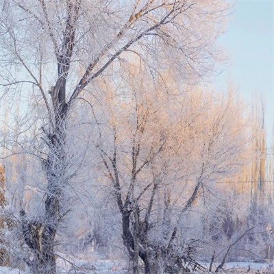 超有意境爆火下雪风景头像图片 抖音冬天下雪ins背景图片素材头像