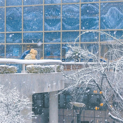 超有意境爆火下雪风景头像图片 抖音冬天下雪ins背景图片素材头像