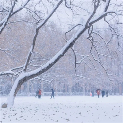 超有意境爆火下雪风景头像图片 抖音冬天下雪ins背景图片素材头像