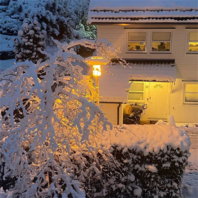 超有意境爆火下雪风景头像图片 抖音冬天下雪ins背景图片素材头像