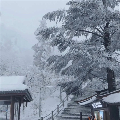 超有意境爆火下雪风景头像图片 抖音冬天下雪ins背景图片素材头像