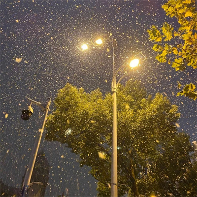 超有意境爆火下雪风景头像图片 抖音冬天下雪ins背景图片素材头像